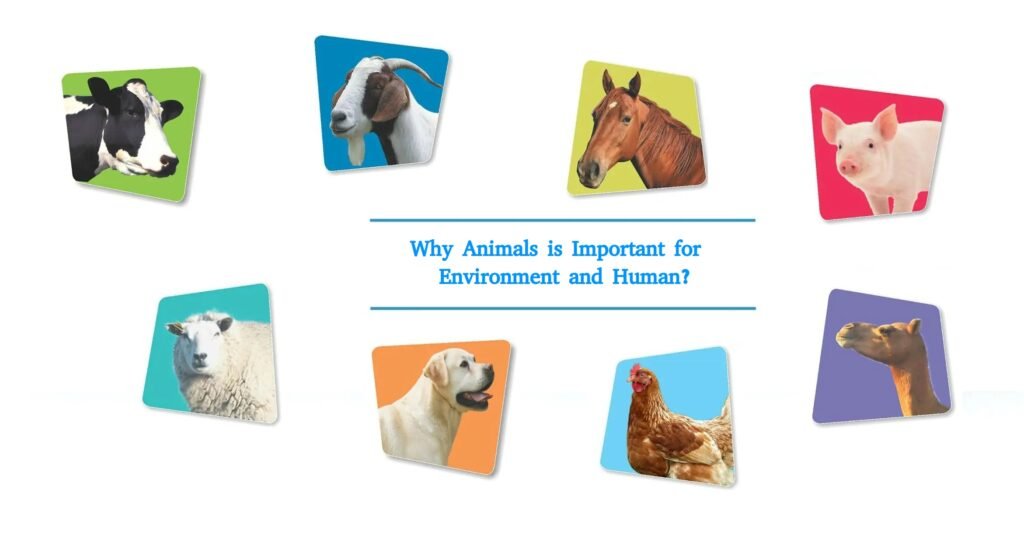 Why Animals is Important for Environment and Human?